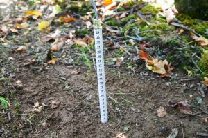 Soil temperature sensor (STB20)