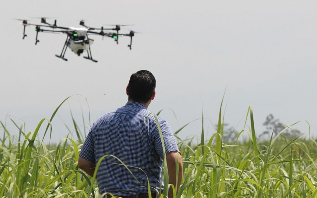 Precision agriculture