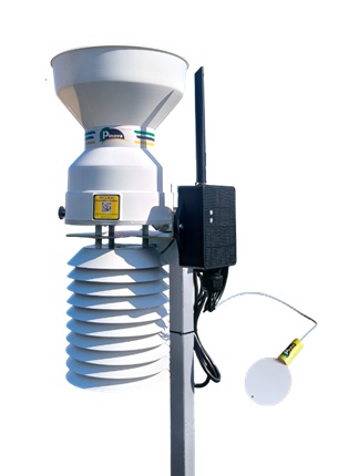 rht-rg300-plws white back manja